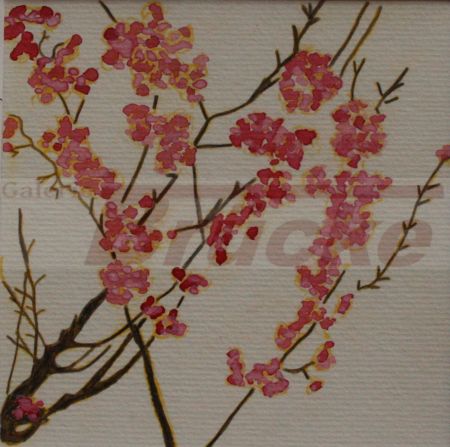 Sònia Eva Domènech